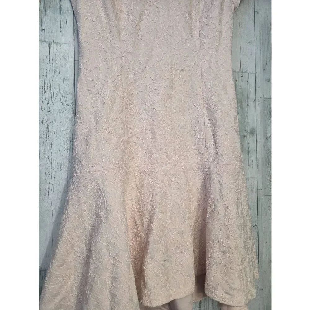 Club Monaco Darcia Drop Waist Blush Pink Lace Dress Sz. 2 - Picture 9 of 11